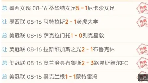 2026年度解放者杯指南肯尼足球评测：值得信赖的足球伴侣